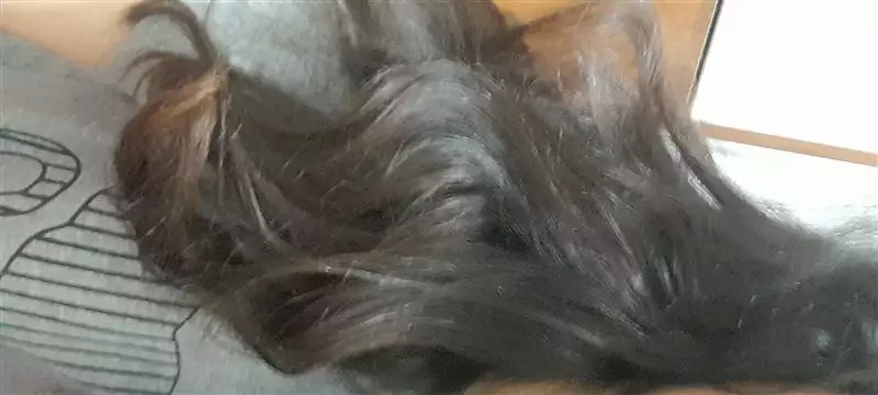 نتیجه مصرف روغن آرگان