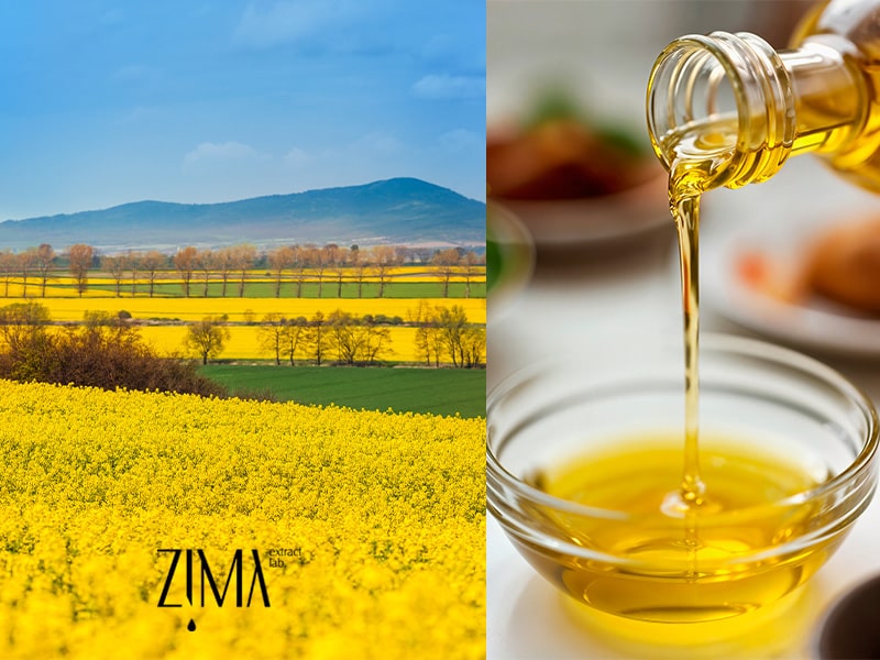 روغن کانولا
