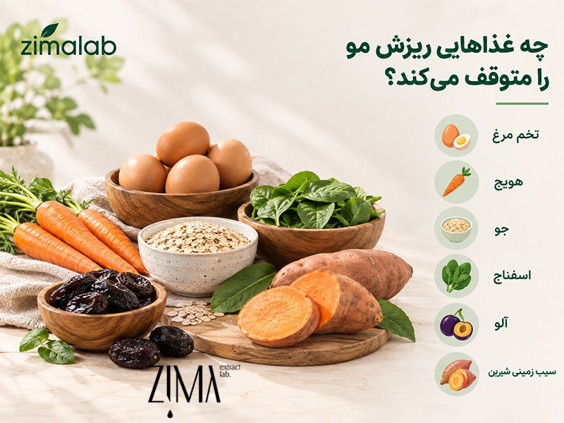 غذاهایی که ریزش مو را متوقف می‌کند