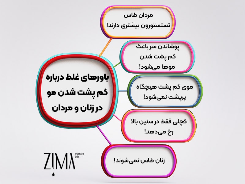 باورهای غلط درمورد کم پشت شدن مو