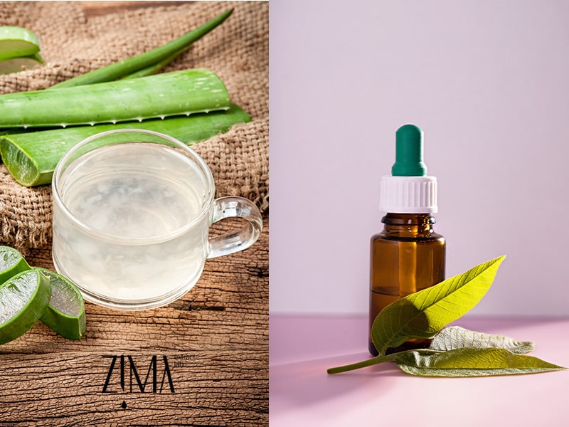 ماسک روغن درخت چای و آلوئه ورا