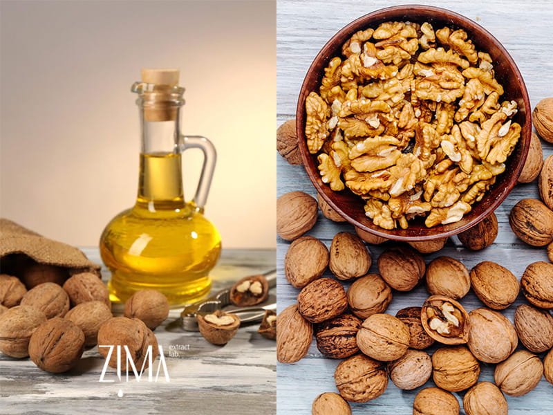 روغن گردو