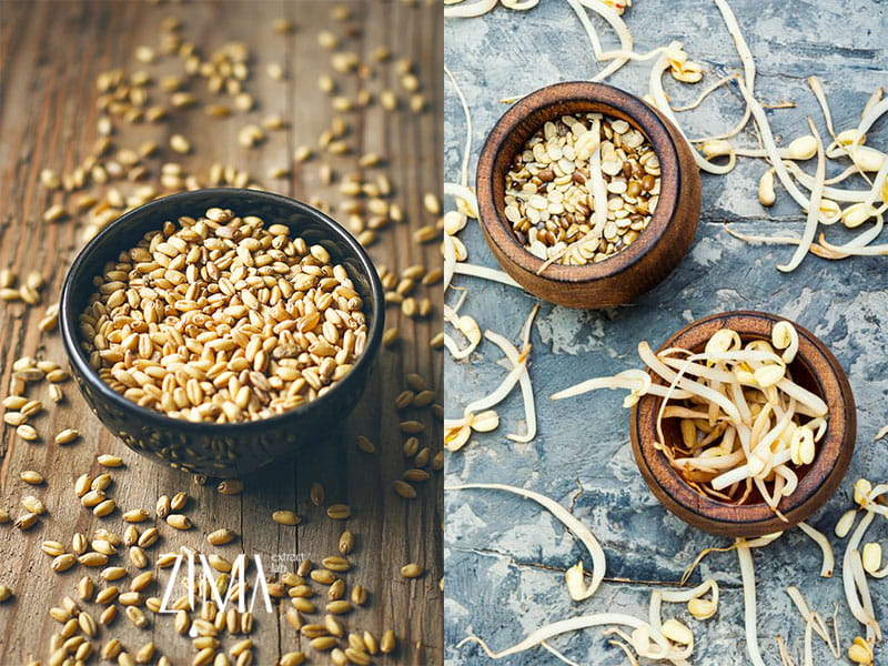 روغن جوانه گندم